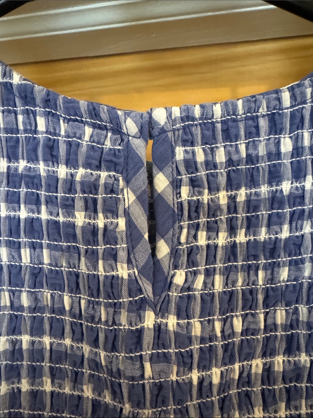 Wray Sleeveless Blue Gingham Dress - Picture 4 of 6
